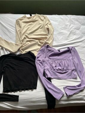 Zara Long Sleeve Crop Tops in Cream, Black and Lavender